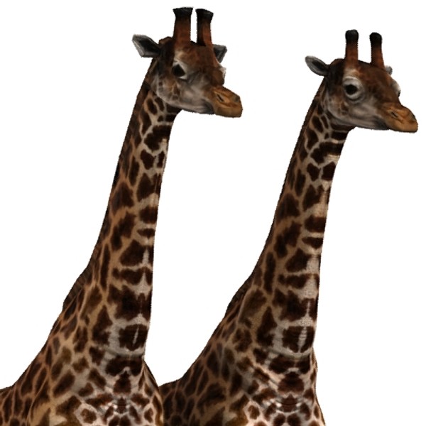 giraffe max - giraffe_max.zip... by David Penfound