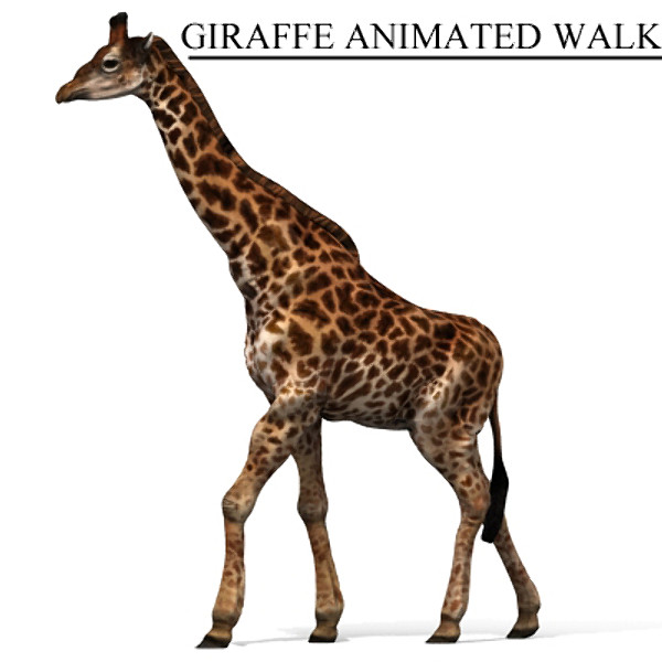 giraffe max - giraffe_max.zip... by David Penfound