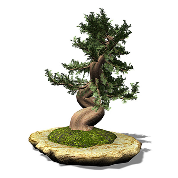 3d xfrogplants bonsai western juniper model - XfrogPlants Bonsai Western Juniper by xfrog