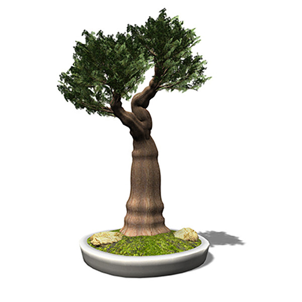 3d xfrogplants bonsai western juniper model - XfrogPlants Bonsai Western Juniper by xfrog