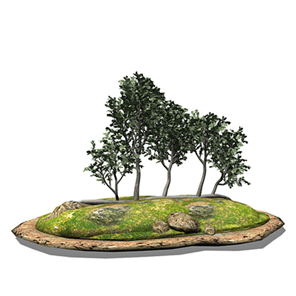 xfrogplants bonsai smooth-leaved elm 3d max - XfrogPlants Bonsai Smooth-leaved Elm by xfrog