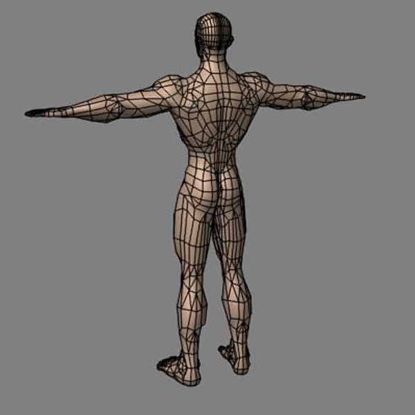3d model muscular male - tw_hero_lp.lwo by tomwoof