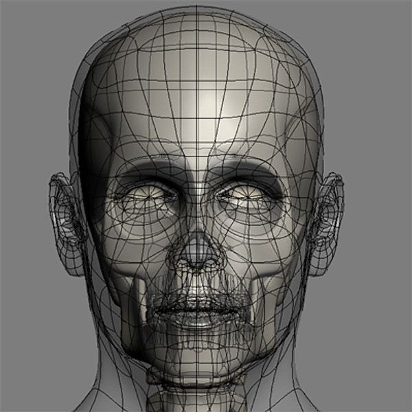 skull cervical spine 3d max - Skull and cervical spine by RadioMatrix