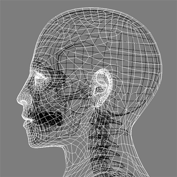 skull cervical spine 3d max - Skull and cervical spine by RadioMatrix