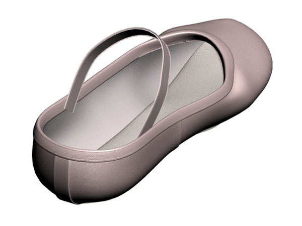 3d ballet shoe model - Ballet Slippers by Mickey Models