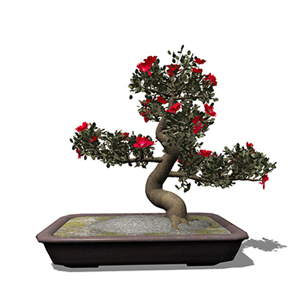 xfrogplants bonsai satsuki azalea 3d 3ds - XfrogPlants Bonsai Satsuki Azalea by xfrog