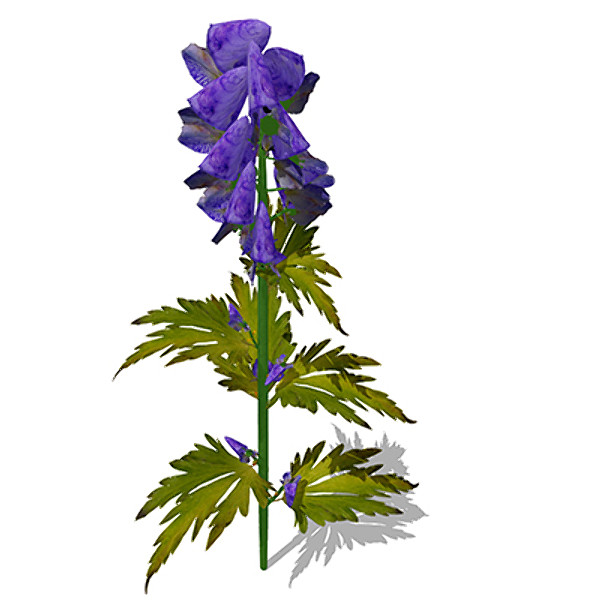 3ds xfrogplants delphinium plant flowers - XfrogPlants Delphinium by xfrog