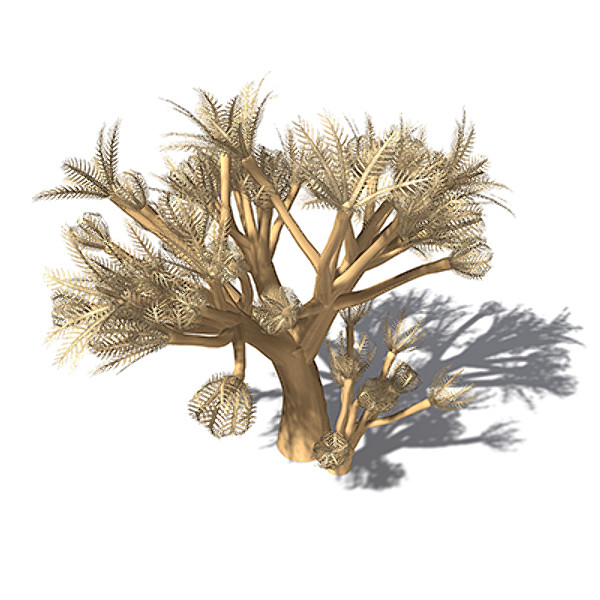 3d xfrogplants pulsing xenia plant model - XfrogPlants Pulsing Xenia by xfrog