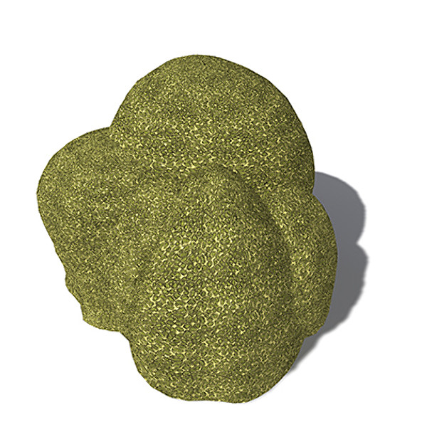 xfrogplants groved mosaic coral 3d model - XfrogPlants Groved Mosaic Coral by xfrog