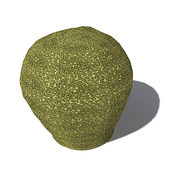 xfrogplants groved mosaic coral 3d model - XfrogPlants Groved Mosaic Coral by xfrog
