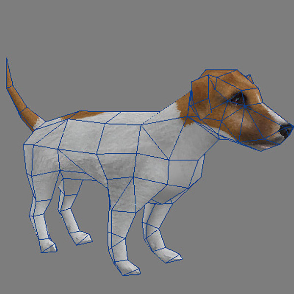 max jack russell terrier - Low Poly Jack Russell Terrier by mookyguy