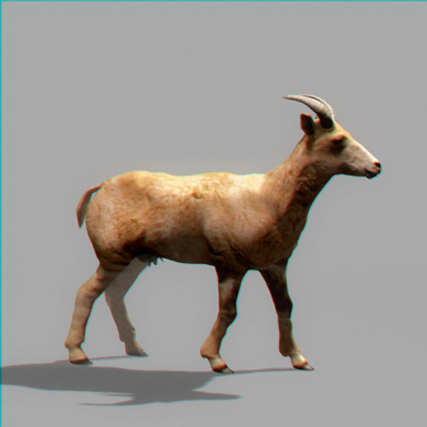 mountain goat c4d - Mountain Goat by NONECG