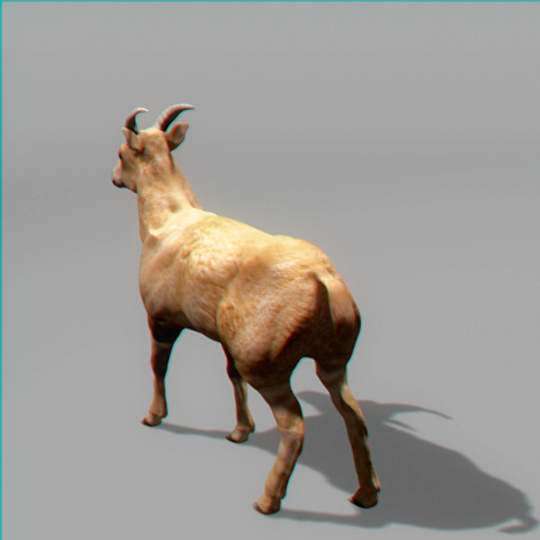 mountain goat c4d - Mountain Goat by NONECG