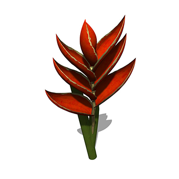 xfrogplants firebird plant bird 3d max - XfrogPlants Firebird by xfrog