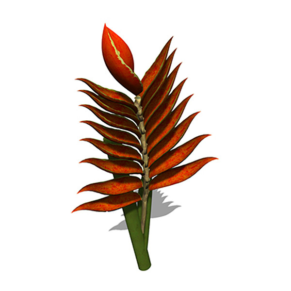 xfrogplants firebird plant bird 3d max - XfrogPlants Firebird by xfrog