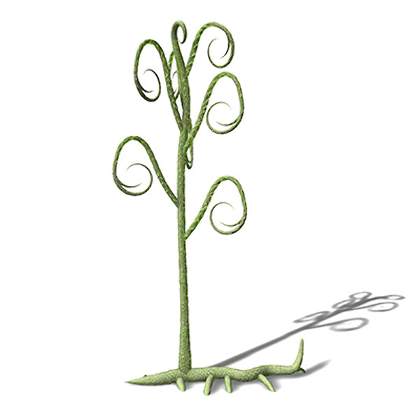 3d xfrogplants asteroxylon plant - XfrogPlants Asteroxylon by xfrog