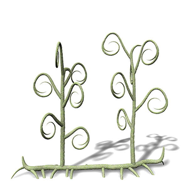 3d xfrogplants asteroxylon plant - XfrogPlants Asteroxylon by xfrog
