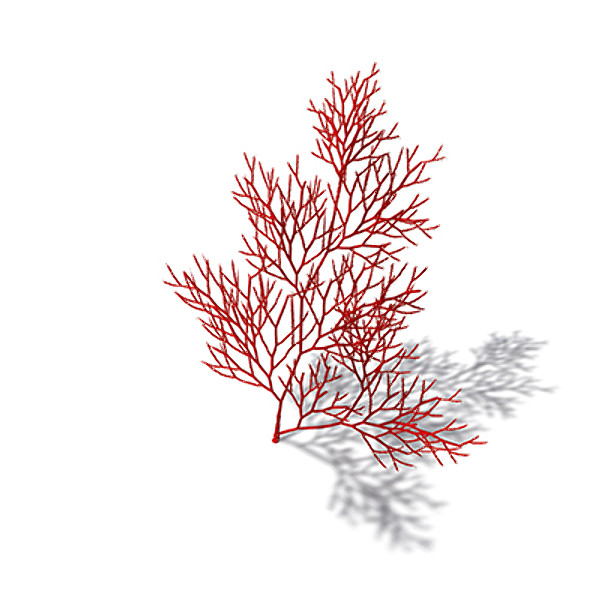3d model of xfrogplants red sea fan - XfrogPlants Red Sea Fan by xfrog