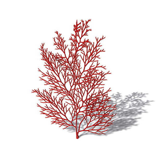 3d model of xfrogplants red sea fan - XfrogPlants Red Sea Fan by xfrog
