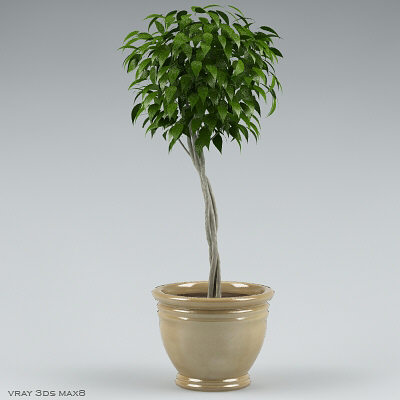 3ds plants - plants_collection_01_10plants by bihoreanul