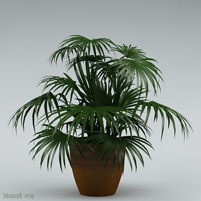 3ds plants - plants_collection_01_10plants by bihoreanul