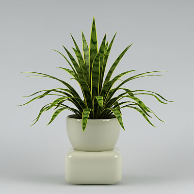 3ds plants - plants_collection_01_10plants by bihoreanul