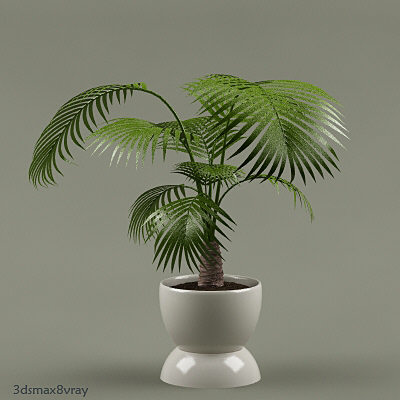 3ds plants - plants_collection_01_10plants by bihoreanul