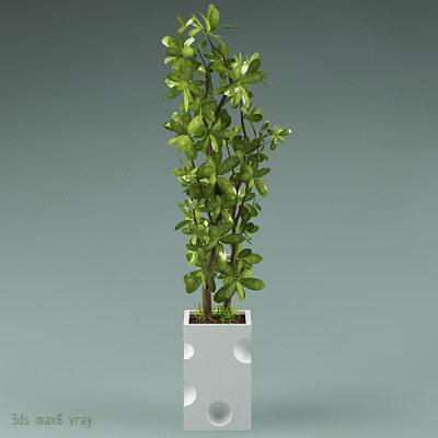 3ds plants - plants_collection_01_10plants by bihoreanul