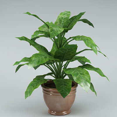 3ds plants - plants_collection_01_10plants by bihoreanul