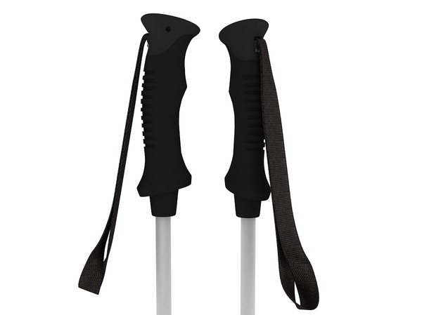 alpine ski poles max - Alpine Ski Poles by Tornado Studio