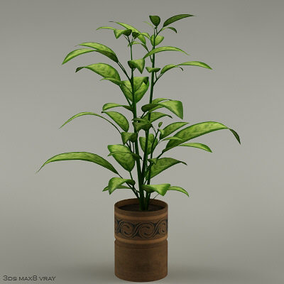 3ds plants - plants_collection_01_10plants by bihoreanul