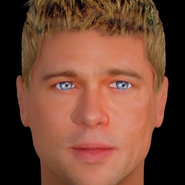 3d brad pitt hair model - Brad Pitt hair by fabelar