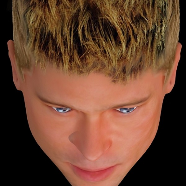 3d brad pitt hair model - Brad Pitt hair by fabelar