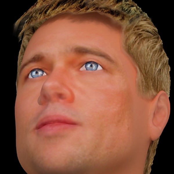 3d brad pitt hair model - Brad Pitt hair by fabelar