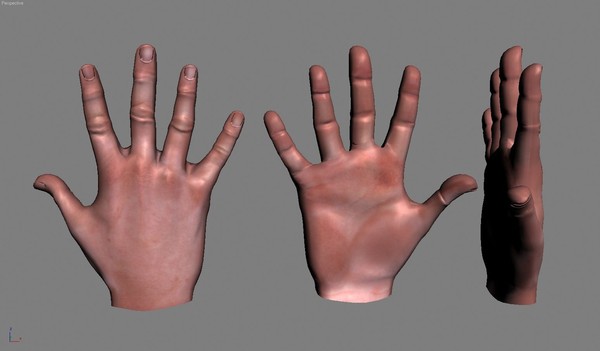 max realistic human hand real - 6 Realistic Human Hand by Kostas Yiatilis Macfarlane