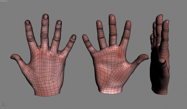 max realistic human hand real - 6 Realistic Human Hand by Kostas Yiatilis Macfarlane