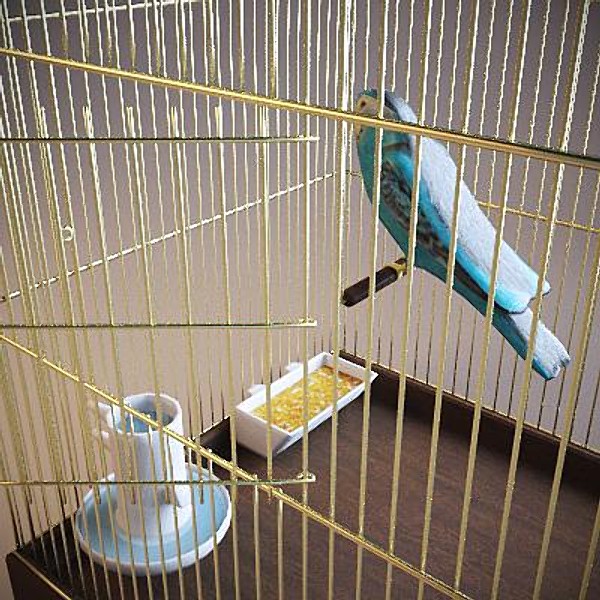 maya cage bird cells - The cage with the bird by Stubborn3D
