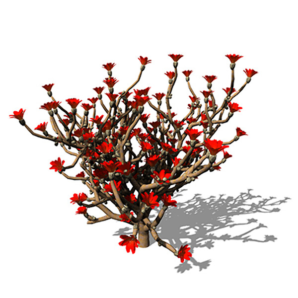 3dsmax xfrogplants staghorn cholla plant - XfrogPlants Staghorn Cholla by xfrog
