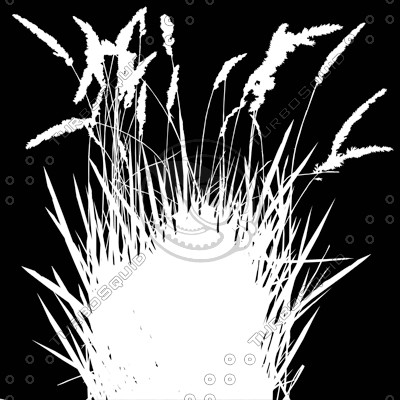 Grass_21.tga