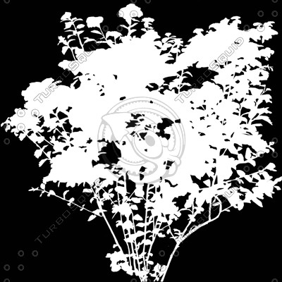 BushL_28.tga