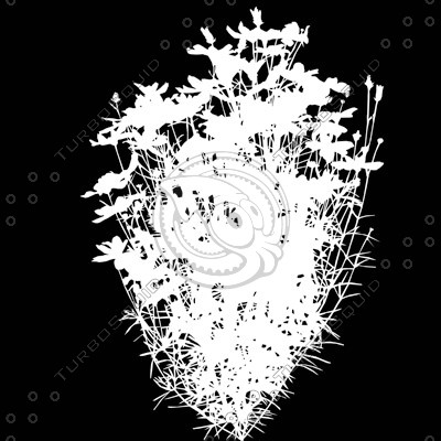 Flowers_N_06.tga