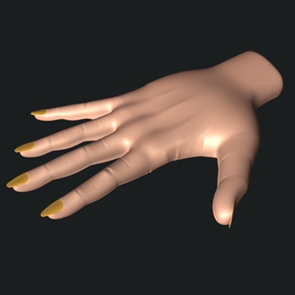 realistic female hand 3d model - Female Hand by shank3d