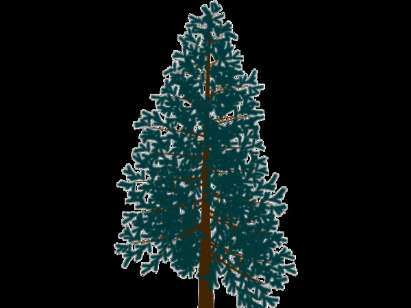 spruce tree max - spruce tree.max by Animation Anchor Line