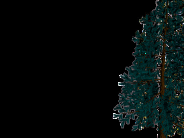 spruce tree max - spruce tree.max by Animation Anchor Line