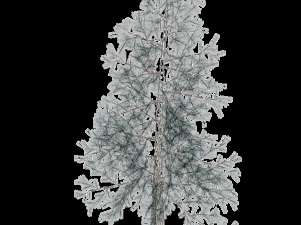 spruce tree max - spruce tree.max by Animation Anchor Line