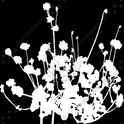 FlowerL_06.tga