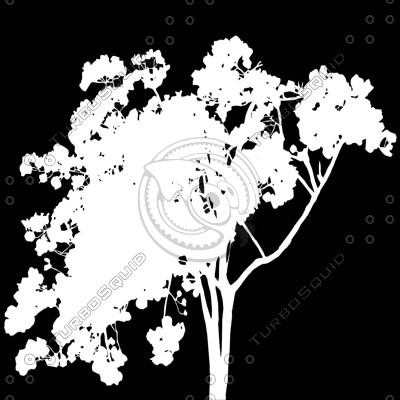 Bush_S_02.tga