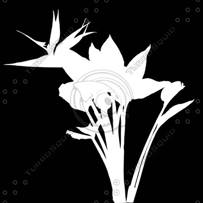 FlowerL_34.tga