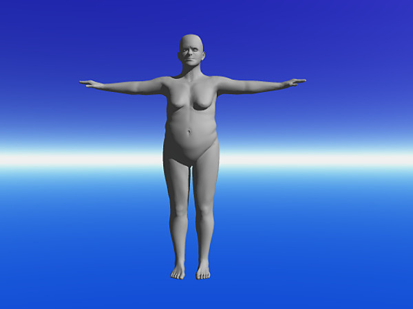 3d fat model - wmnfat.obj by Wanderley