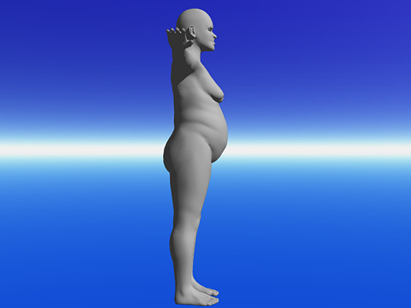 3d fat model - wmnfat.obj by Wanderley